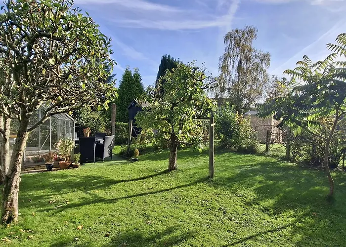 Apple Byrd * كندال